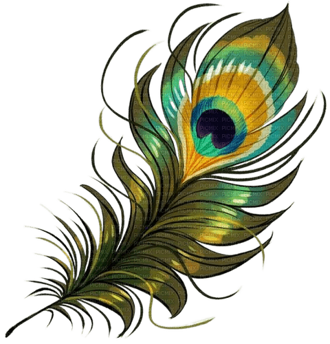 Peacock.Paon.Feather.Plume.Victoriabea - ücretsiz png
