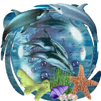 dolphins bp - Бесплатный анимированный гифка