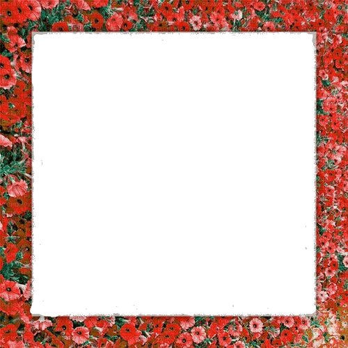 Red floral frame png - PNG gratuit