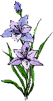 flower-ani - Bezmaksas animēts GIF