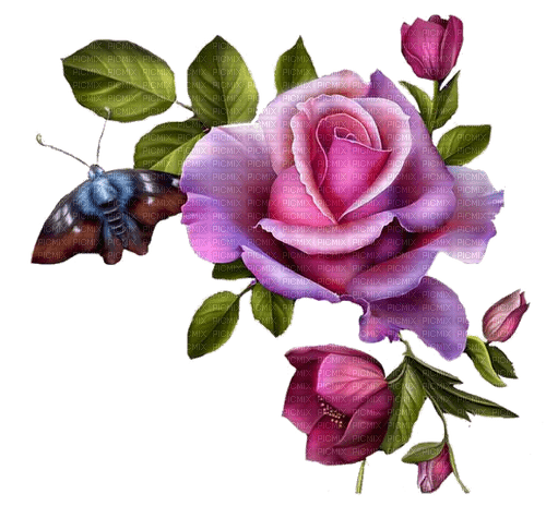 Rose, pink, Schmetterling - безплатен png