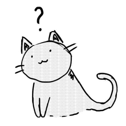 confused cat - Ilmainen animoitu GIF