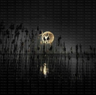 night moon lune nuit lake pond autumn automne herbst landscape background fond paysage landschaft image - Free PNG