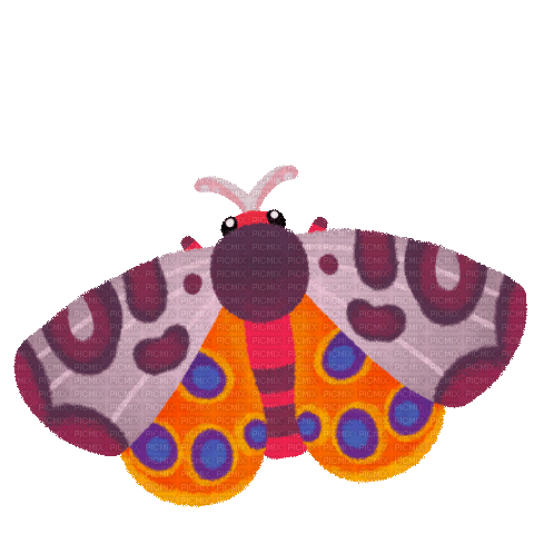moth by pikaole - GIF animado gratis