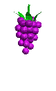 grapes - 無料のアニメーション GIF