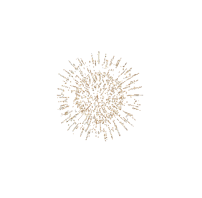 fireworks katrin - 免费动画 GIF