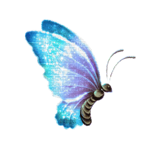 Y.A.M._Fantasy butterfly - Free animated GIF