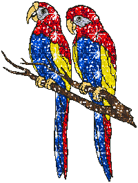 parrot katrin - Gratis geanimeerde GIF