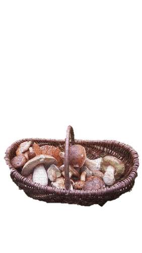 Mushroom basket - png gratuito