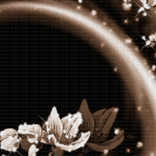MA / Bg.animated.texture.flower.brown.idca - Besplatni animirani GIF