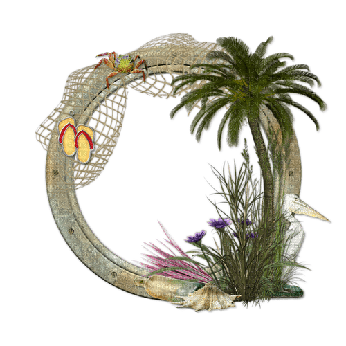 dolceluna pelican frame summer beach tree circle - Free PNG