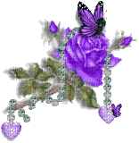 purple roses - Бесплатный анимированный гифка