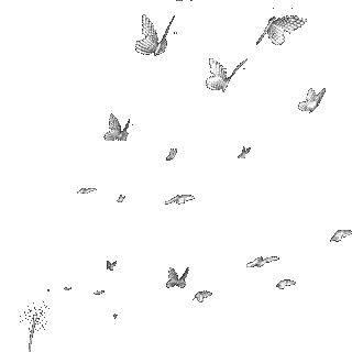 butterfly - GIF animado grátis