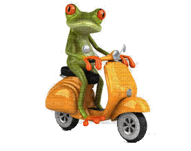 frog driving - bezmaksas png
