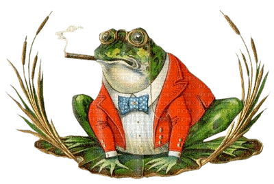 Kaz_Creations Frog Frogs - ilmainen png