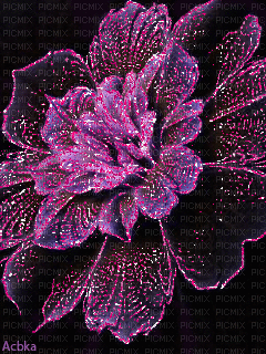 flor,adolgian - 無料のアニメーション GIF