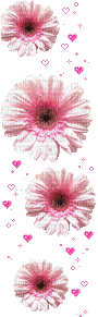 flowers - GIF animado grátis