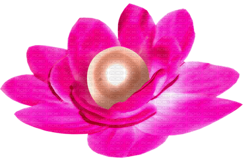 Flower.Pearl.White.Pink - Free PNG