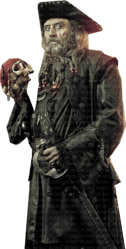 pirate - ilmainen png