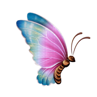 Butterfly 2 - ilmainen png