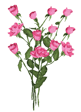 rosas animadas gif  dubravka4 - GIF animasi gratis