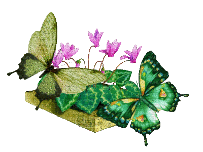 papillons - Ingyenes animált GIF