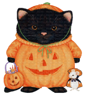 Pumpkin Cat - Free animated GIF