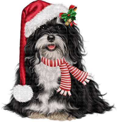 Kaz_Creations Christmas Dog Pup Dogs Colours - ilmainen png
