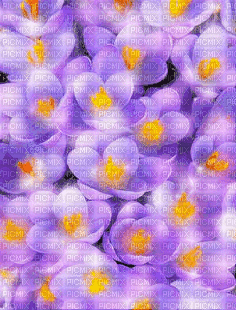 VanessaVallo _crea- flowers animated background - Free animated GIF