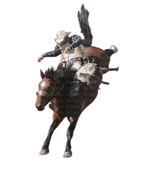 Rodeo Horse and Rider - ingyenes png