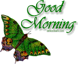 Morning _butterfly - Безплатен анимиран GIF