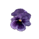 lila-flower4 - PNG gratuit