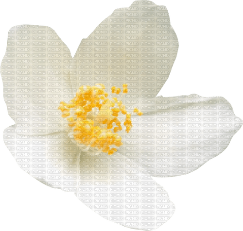 flower deco spring - 免费PNG
