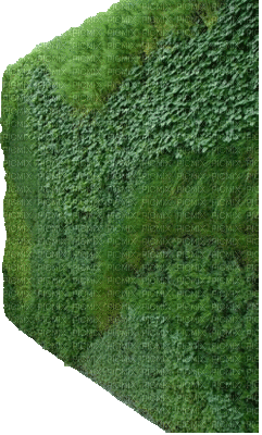 Gartenwand - Gratis geanimeerde GIF