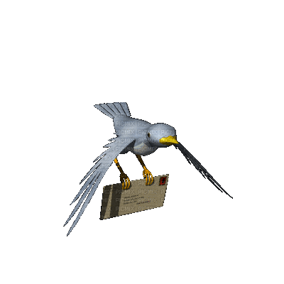 Pássaro mensageiro - GIF animasi gratis