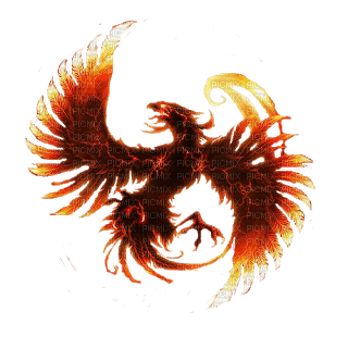 Fuego - Free PNG