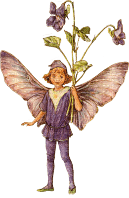 fairy*kn* - Free PNG
