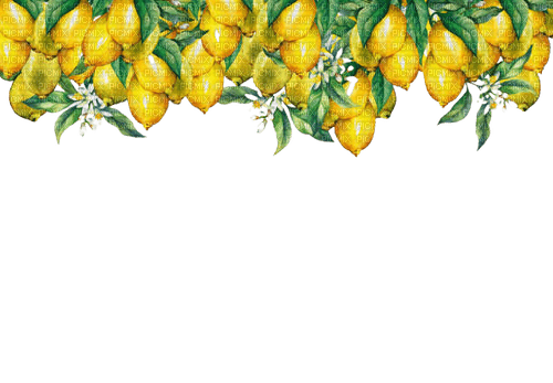 kikkapink lemon fruit deco png border frame - png gratis