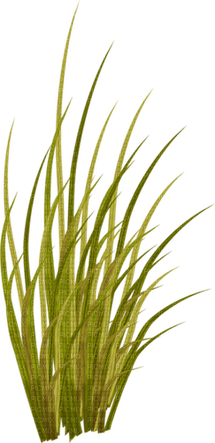 kikkapink grass deco - ingyenes png