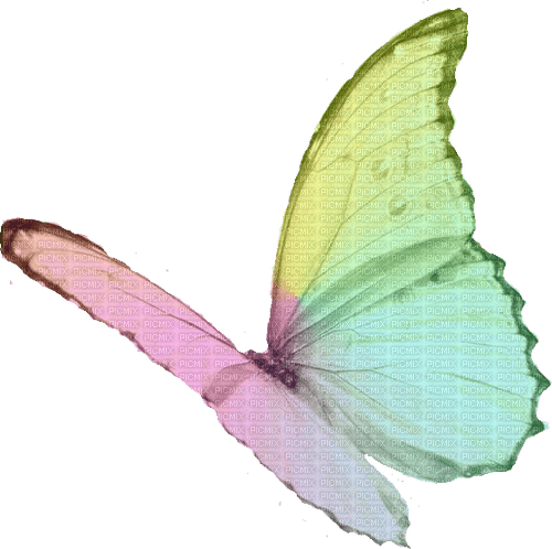 Schmetterling bunt - PNG gratuit
