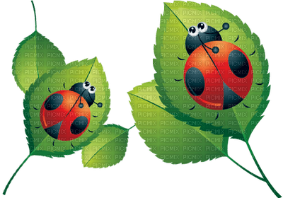 Kaz_Creations Ladybugs Ladybug - kostenlos png