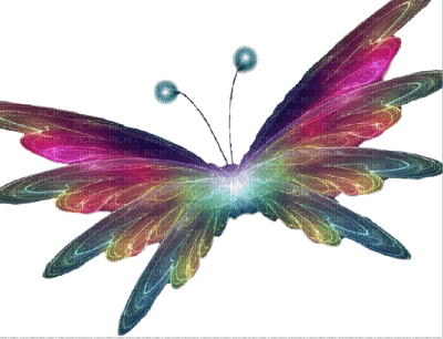 aze papillon - Free PNG