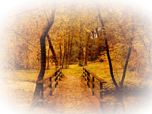 Осенний пейзаж - zdarma png