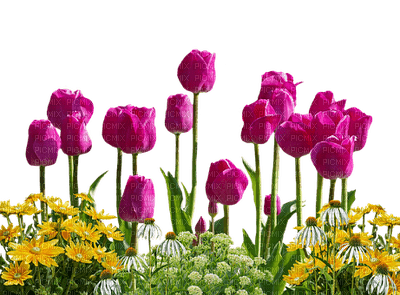 spring printemps frühling primavera весна wiosna tube deco flower fleur blossom bloom blüte fleurs blumen tulips garden jardin lit bed beet