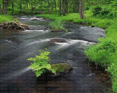 пейзажгуля водагг - 無料のアニメーション GIF