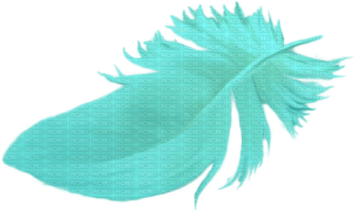 Feder Feather - ilmainen png