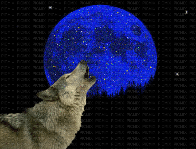 lobo - GIF animado gratis