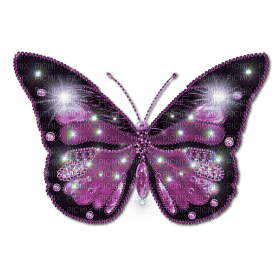purple butterfly 7 - png ฟรี