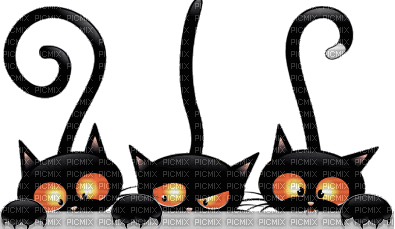 cats bp - Besplatni animirani GIF