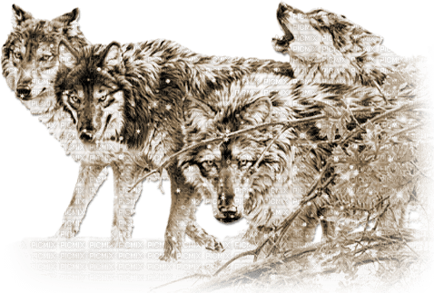 soave winter animals wolf  deco  sepia - png ฟรี